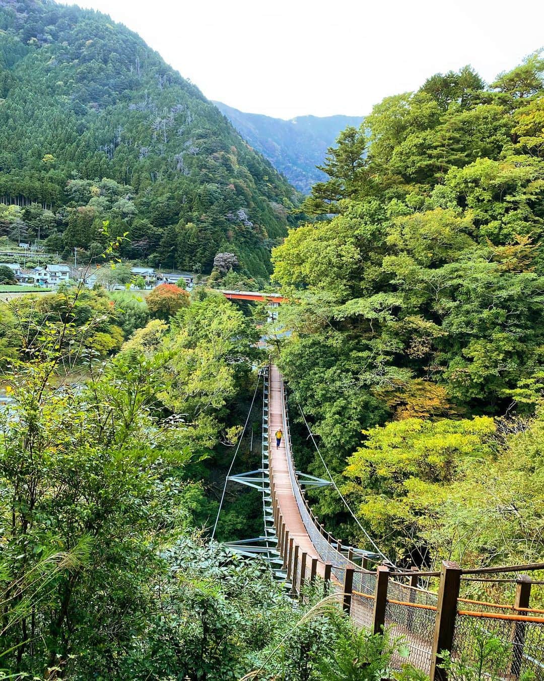 のインスタグラム：「おはようございます☀  もう11月も中旬ですね。  今年もあと1ヵ月半。  山も秋から冬に向かって色が深まり  街は、、どんどん  目にする景色商品耳に入る音楽が  クリスマス感を深める...(￣▽￣) ...笑  連日  会う人会う人に刺激とパワーを頂き  先の見えない未来にまた心の炎🔥が炎上  更に猛進する勢いが加速  今日はとりあえず引越しの準備に  拍車をかけねば💦🤣  今日も良いお天気‼️  素敵な一日を🙌✨  #道続くよどこまでも #先の見えない戦い いろいろ  #猪突猛進  #来週 #引越し 最後の　#日曜日  #良いお天気  #おもひで  #写真　#景色  また携帯がおかしい... ぱってホーム画面に戻っちゃう... Campの時雷に打たれて 雷の⚡️パワーで機械壊す技を身に付けたか？？ さ、、引越し準備しよ🙄w」