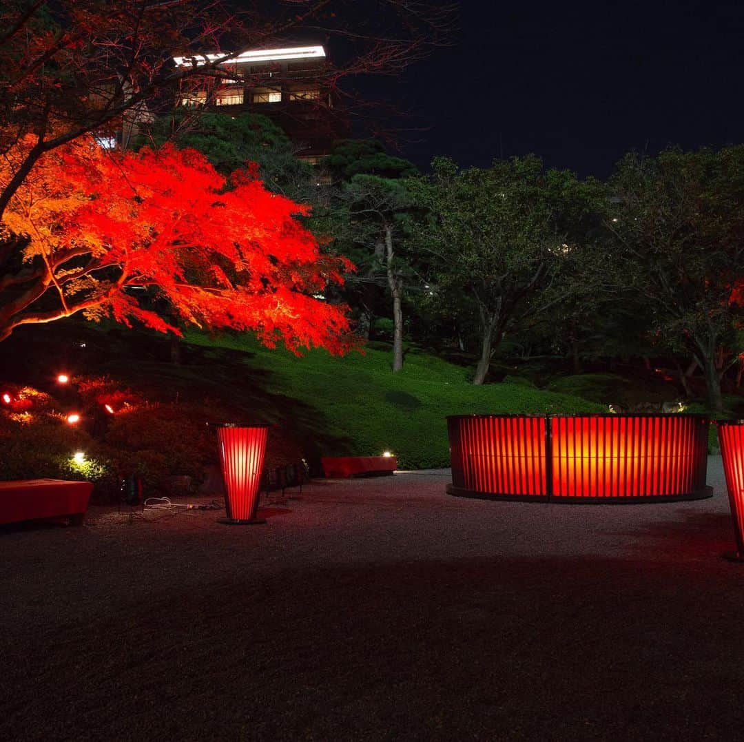 八芳園さんのインスタグラム写真 - (八芳園Instagram)「八芳園の庭園が赤く染め上がる TOKYO RED GARDEN 2020🍁 . 400年の歴史を紡ぐ庭園が、 幻想的に赤く浮かび上がる庭園ライトアップ。 . 会期中は17時ごろより毎日 ライトアップを実施しております。 . そんなTOKYO RED GARDEN 2020に 毎年恒例の期間限定GARDEN BARが登場。 . ライトアップされた庭園を散策しながら、 少し立ち止まって、 お酒を愉しむ贅沢な大人の時間。 . BARでは山梨県産のワインや 身体があたたまるホットワイン、 八芳園シェフが作る 特製カナッペもご用意しております . 日本の風情あふれる 秋の贅沢な時間を、 . 港区白金台の八芳園にて ごゆっくりとお愉しみくださいませ。 . GARDEN BAR開催日程 . 2020年11月19日(木) 〜21日(土) 2020年12月4日(金)・9日(水)・10日(木)・13日(日)  . 開催時間 17:00~20:00(19:30LO) . ■TOKYO RED GARDEN 2020 https://happo-en.com/event/autumn_festival2020/ . #TOKYOREDGARDEN フォトコンテスト開催中。 「赤」がテーマの写真をご投稿ください。 素敵な写真をご応募してくれた方には レストランでのお食事チケットをはじめ豪華商品をプレゼント。 詳細はプロフィールリンク TOKYO RED GARDEN 2020 サイトより。 . . #八芳園 #結婚式場 . #日本庭園 #自然 #紅葉 #紅葉スポット #紅葉ライトアップ #人物写真 #bar #港区女子 #着物女子  . #東京観光  #東京カメラ部  #自然が好き #庭好き　#写真好き  #写真好きな人と繋がりたい  #カメラ好きな人と繋がりたい  #その瞬間に物語を  . #和装結婚式 #式場探し #プレ花嫁さんと繋がりたい . #japan #japanesegarden  #tokyotrip  #forbestravelguide #tokyotodo  #tokyotokyo #東京をもっと楽しもう」11月15日 9時49分 - happoen