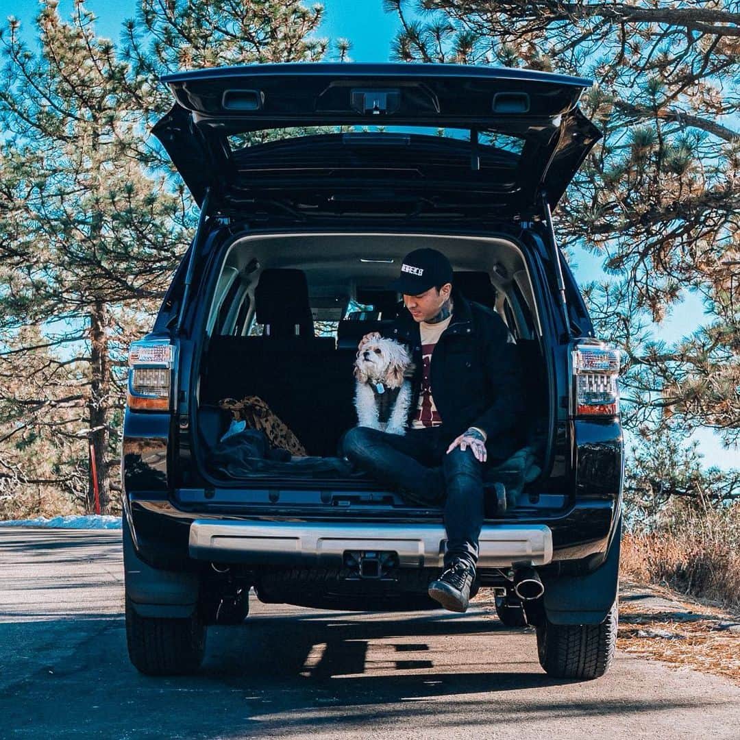 トニー・ペリーのインスタグラム：「🐶」