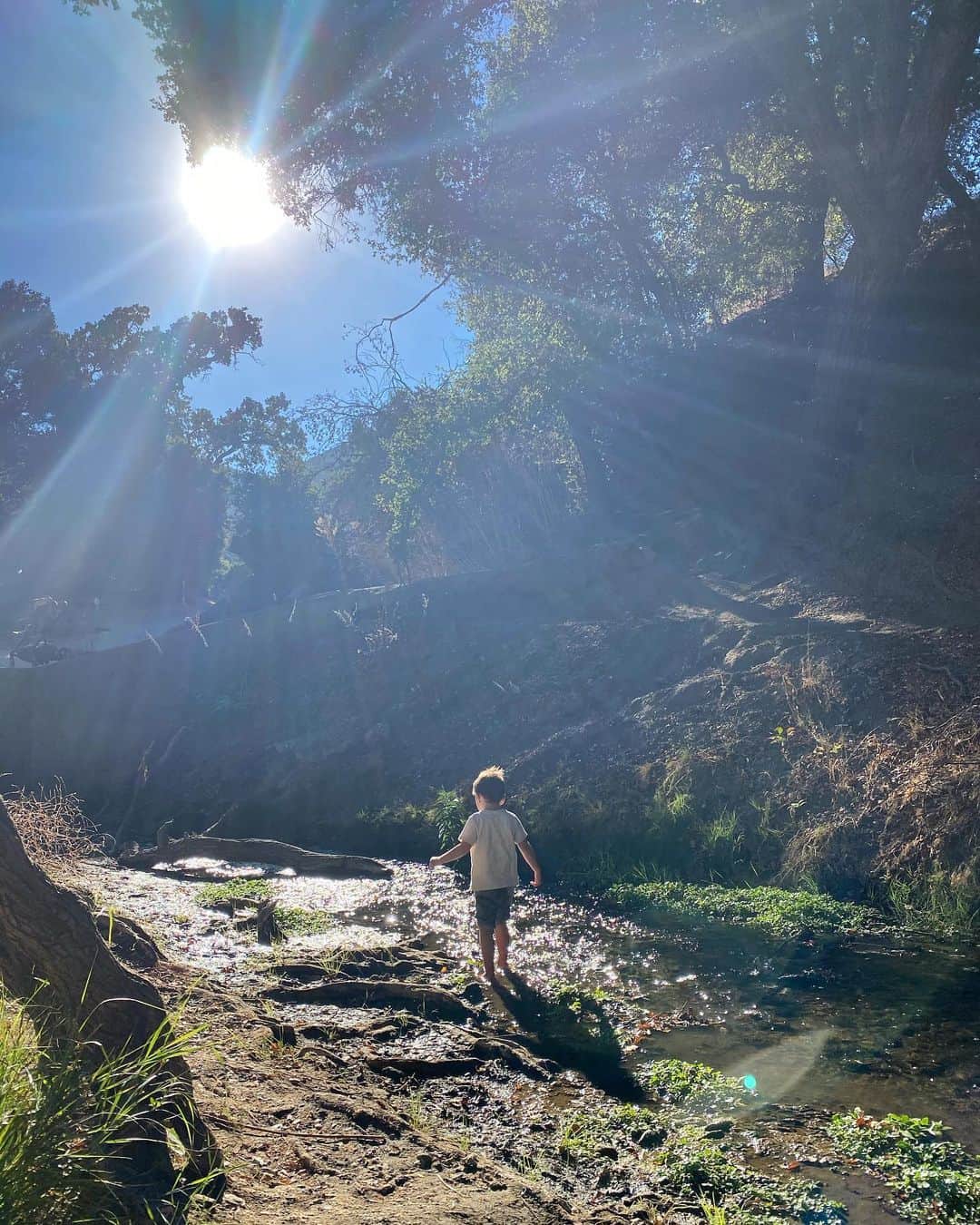 キャメロン・リチャードソンのインスタグラム：「Perfect day...」