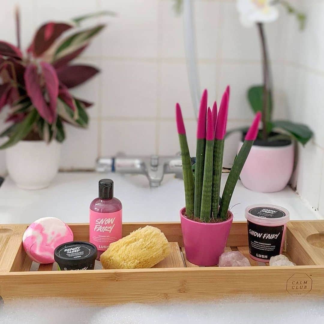 LUSH Cosmeticsさんのインスタグラム写真 - (LUSH CosmeticsInstagram)「Which bathroom setup is more your vibe?⁠ 🛁⁠⠀ ⁠⠀ ⁠• Drop a 💜  if you're a "Newbie" and skincare is just as important as a Twilight-inspired bath⁠⠀ • Drop a 💖  if you're a "Lushie" who is Snow Fairy and Yog Nog-obsessed⁠⠀ • Drop a 💚  if you're a "Greenie" and naked products are a must⁠⠀ ⁠⠀ Want to learn more about your Lush persona—or someone else's? Whether you want to treat yourself, your favorite outdoor adventurer or someone who's never even heard of a bath bomb... we've got the perfect gift to match. Head to our link in bio to find out more now.⁠⠀ ⁠⠀ 📸: @lushsuisse⁠ @lalaloveofficial⁠ @lushsyc⁠ ⁠⠀ ⁠⠀ Psssst... don't forget there are SO many ways to shop this holiday season. You know the drill, more information is waiting for you in our link in bio.⁠⠀ ⁠⠀ #MyLushPersona #LushChristmas2020 #Christmas2020 #holidays #gifting #crueltyfree #handmade」11月15日 1時41分 - lushcosmetics