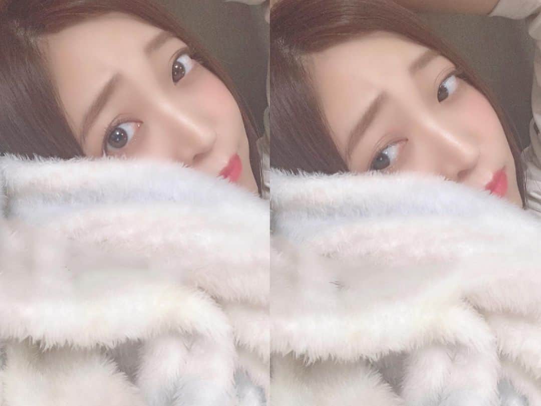 内田 菜々さんのインスタグラム写真 - (内田 菜々Instagram)「* * 🧸 * *  もふもふ。 おやすみなさい。 * #goodnight #今日は #ミスド #食べて #幸せでした #エンゼルクリーム #カスタード #すき #毎日食べたい * ❀ my twitter ⇨ naaana_77 ❀ ❀ follow me‼︎ ❀ * * * 🧸 *」11月15日 5時11分 - chocobanaaana