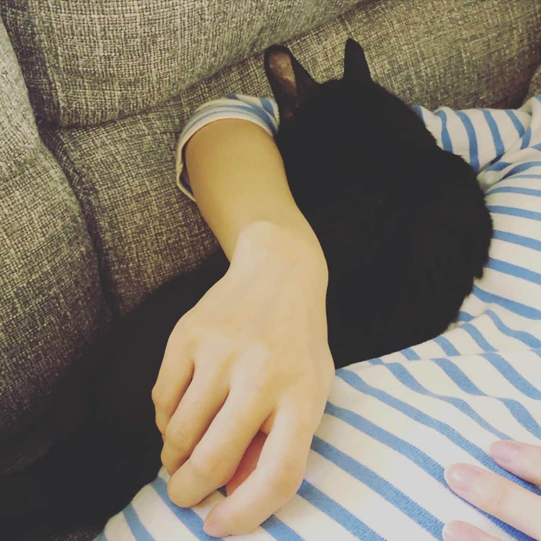英玲奈のインスタグラム：「#影虎 無理矢理入ってくる人w」