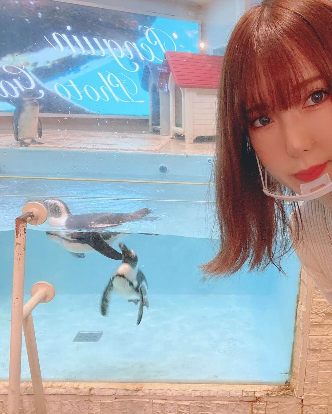 波多野結衣さんのインスタグラム写真 - (波多野結衣Instagram)「ペンギンのいるbar様でオフ会させていただきました♡🐧 ペンギンかわいかった… . . #ペンギンのいるbar #オフ会 #ペンギン #ペンギンフローズンカクテル #セレブの友 #波多野結衣」11月15日 10時50分 - hatachan524