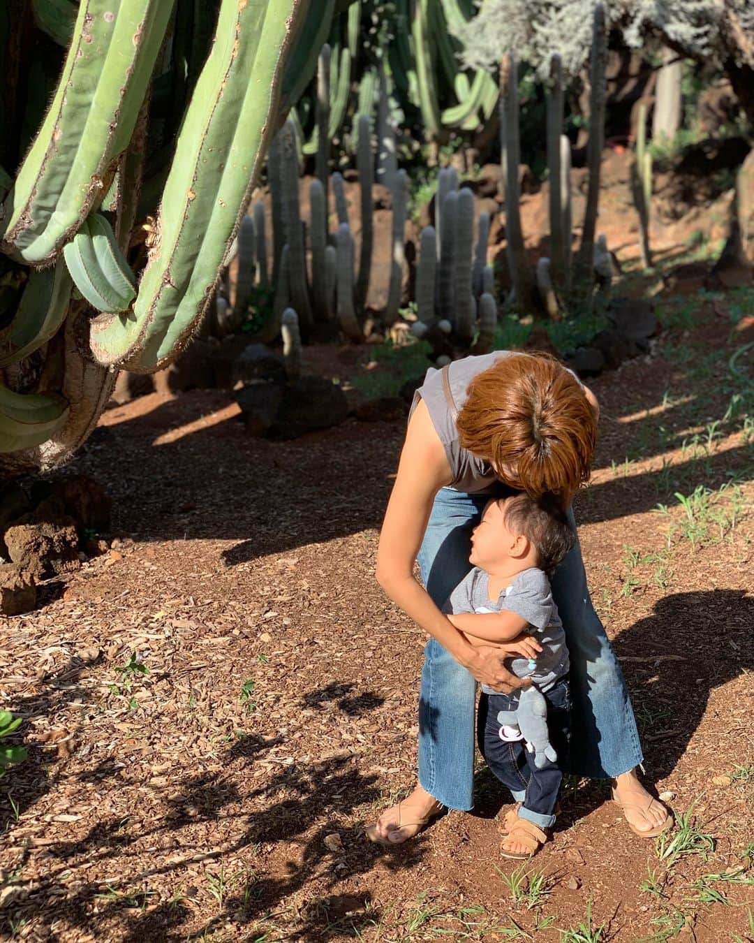 間瀬ゆきさんのインスタグラム写真 - (間瀬ゆきInstagram)「3月以来の #kccfarmersmarket に行ったからついでに🌵と写真撮ろうとしたんだけど  2枚目 息子がカメラ見てくれない 3枚目 泣きだす 4枚目 撤収😂  そんなもんよね（笑）  #ハワイ子育て #ハワイ育児 #ハワイ出産 #ハワイ移住 #子連れハワイ #生後14ヶ月 #生後15ヶ月 #1歳 #1歳3ヶ月 #1歳男の子 #2019年8月生まれ #8月生まれ #男の子ママ #育児記録 #産後ダイエット #diet #baby #babyboy #hawaii #ハワイ #hawaiilife #maseyukihawaii #luckywelivehawaii」11月15日 5時58分 - maseyuki