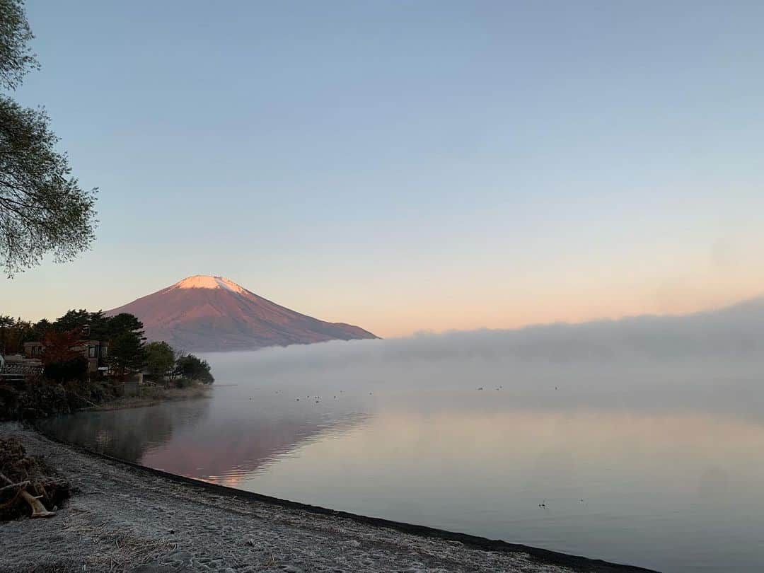杉原勇武さんのインスタグラム写真 - (杉原勇武Instagram)「おはようございます。 霧がかかっていて幻想的です。 今日も晴天❗️」11月15日 6時27分 - isamu_katayama