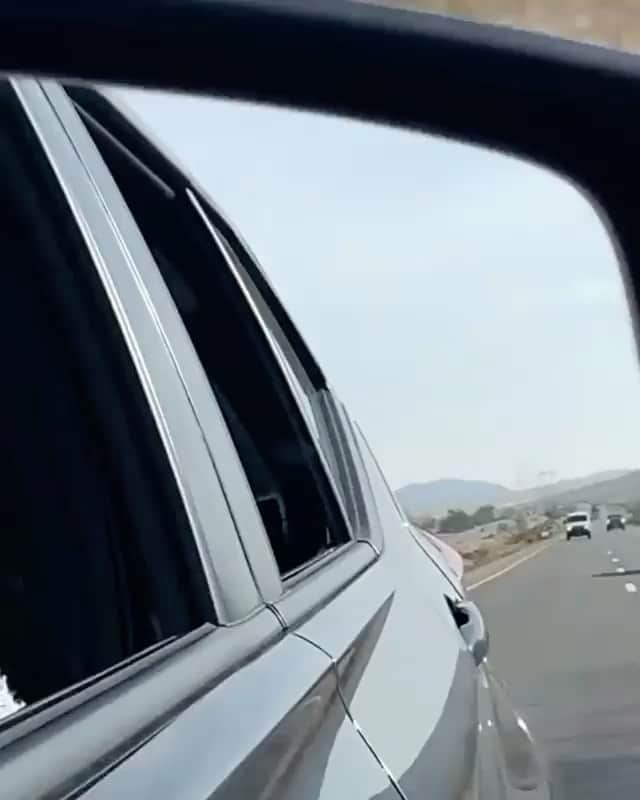 DogsOf Instagramのインスタグラム：「“Dis is how I wave at passing cars 👋 👋” writes @thefrenchiefitz   #dogsofinstagram」