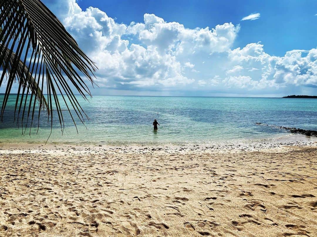 ホリー・マリー・コームズのインスタグラム：「Take me back. #Tulum」