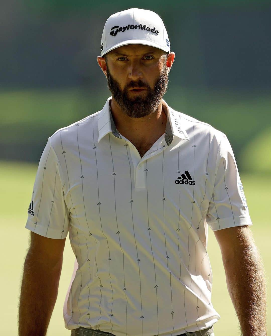 adidas Golfさんのインスタグラム写真 - (adidas GolfInstagram)「Major moves. @djohnsonpga is alone at the top at -16 after a 65 in round 3. #ReadyForSport #themasters」11月15日 7時03分 - adidasgolf