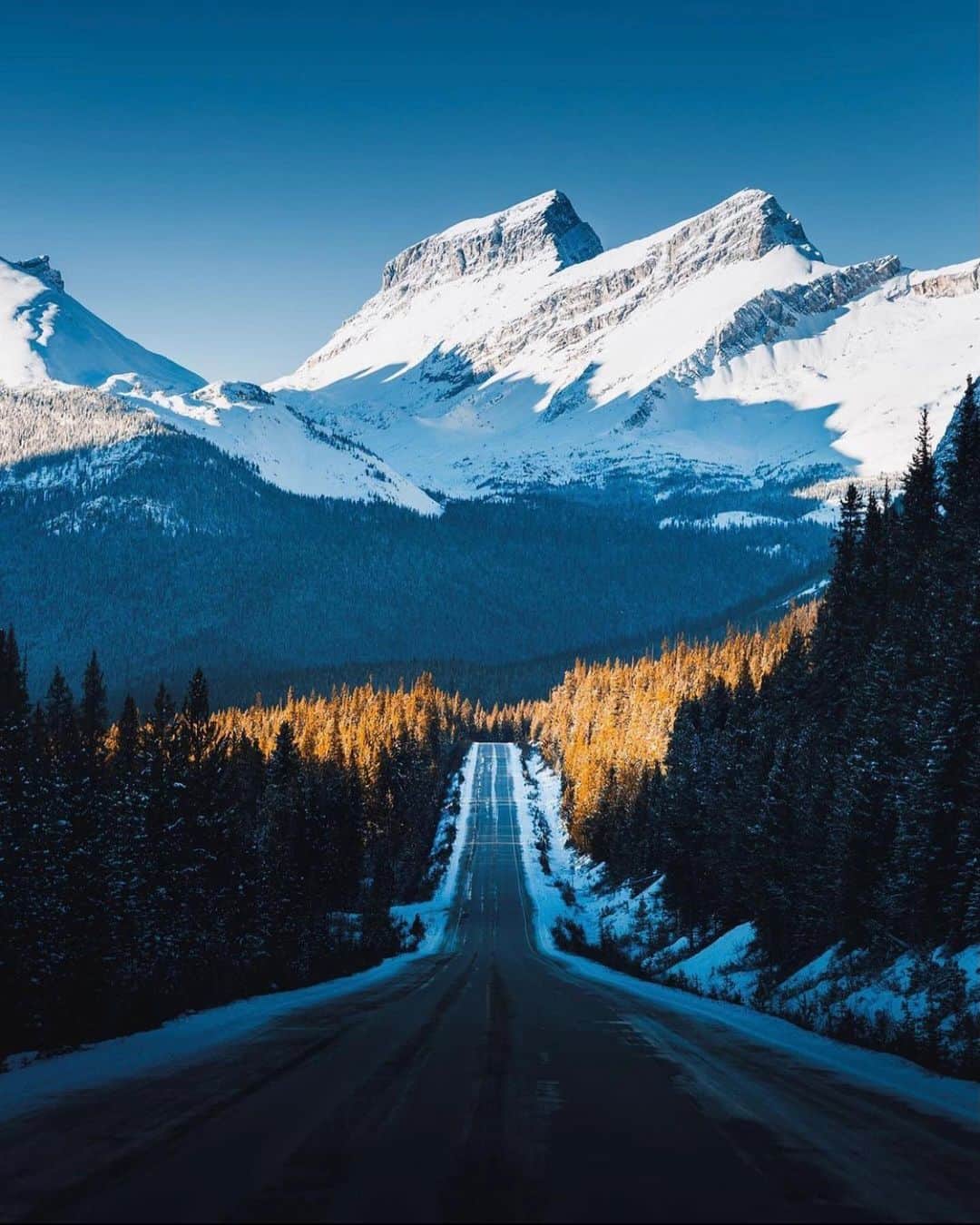 FOLKのインスタグラム：「Some views and a pup for today’s favorites. All the good things. 1.) @joemackin 2.) @dylansherrard 3.) @johnwingfield 4.) @kyle.fredrickson 5.) @benwaugh 6.) @zackkcore」