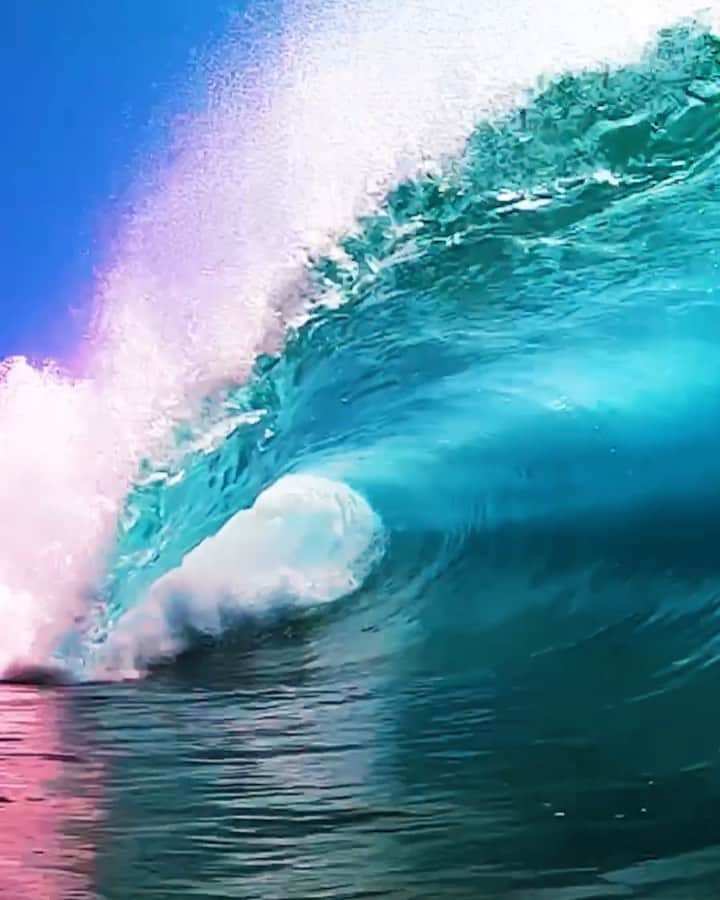 Robbie Crawfordのインスタグラム：「Dreamy @smkflwr #GoPro」