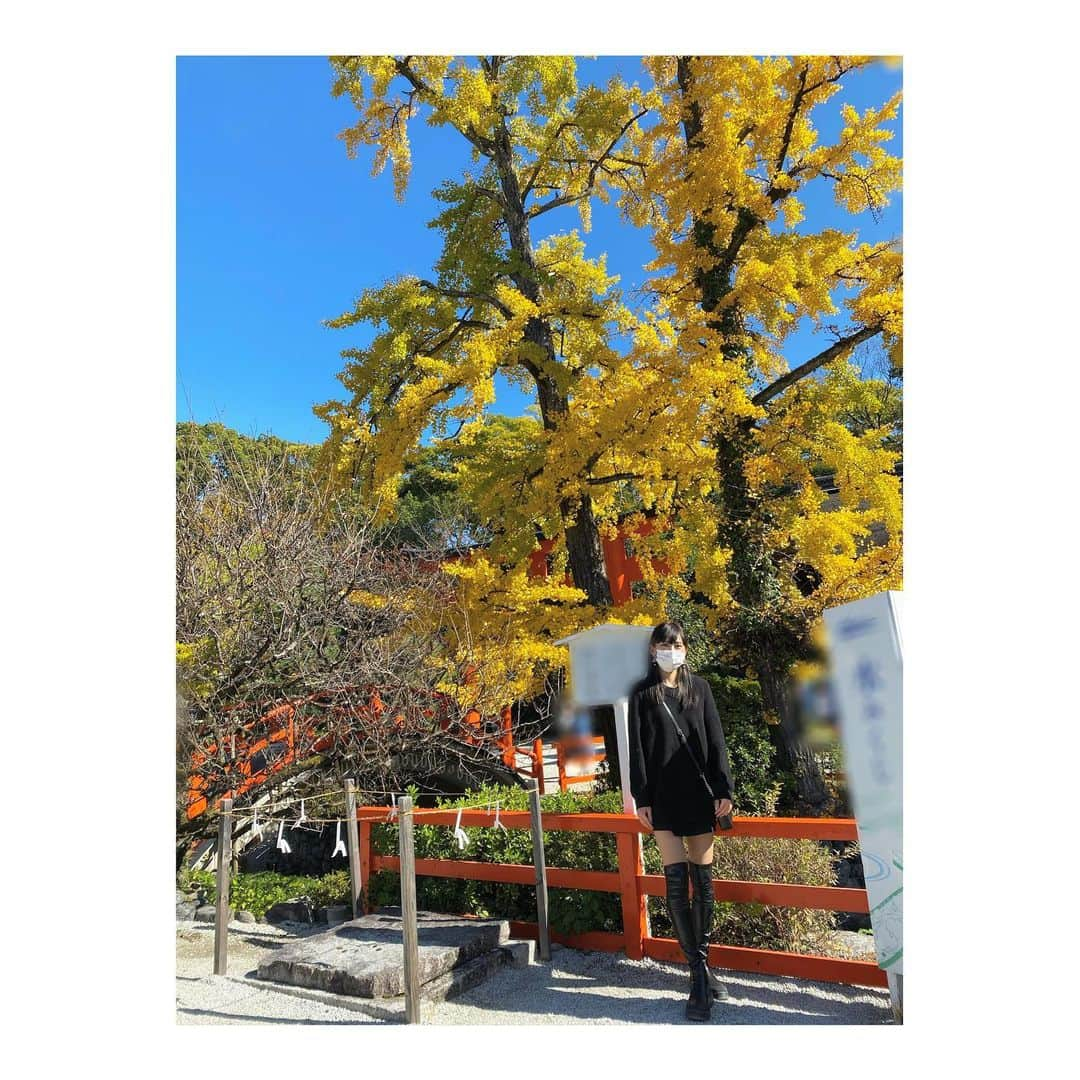 YURINAさんのインスタグラム写真 - (YURINAInstagram)「・﻿ 🌾🍁🍂﻿ ﻿ ﻿ 📸 綺麗なイチョウの木の前で﻿ ﻿ ﻿ ﻿ good morning ☀︎﻿ ﻿ ﻿ ﻿ 今日も良き天気﻿ ﻿ 良き週末を〜〜〜🖤🖤🖤﻿ ﻿ ﻿ ﻿ ﻿ ﻿ ﻿ #オリックス #BsGirls #Bs2020 #avex﻿ #baseball #プロ野球 #ORIX #Buffaloes﻿ #超革新系 #勝紺 #京セラドーム大阪 ﻿ #ほっともっとフィールド神戸 #オリ姫 ﻿ #yurina_359  #BsGirls2020 #performer﻿ #dance #全力パフォーマンス #followme﻿ #高身長女子 #筋トレ女子 #黒髪ストレート ﻿ #野球好きと繋がりたい #インナーカラー﻿ #ootd #秋冬服 #オールブラック ﻿ #京都紅葉 #京都観光 #下鴨神社﻿ ﻿ ﻿」11月15日 9時10分 - yurina_bsgirls_359