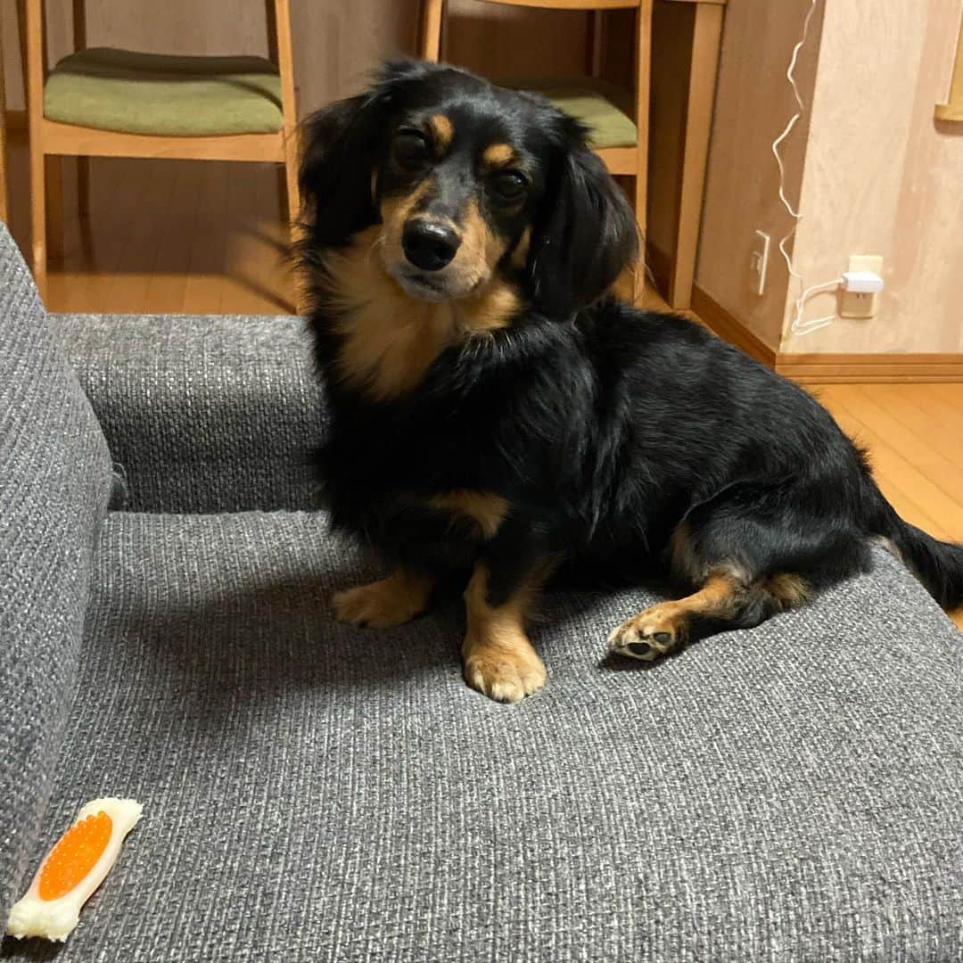 まさのインスタグラム