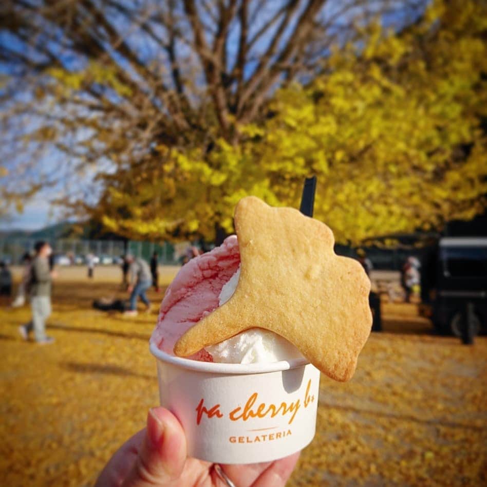 秦まりなのインスタグラム