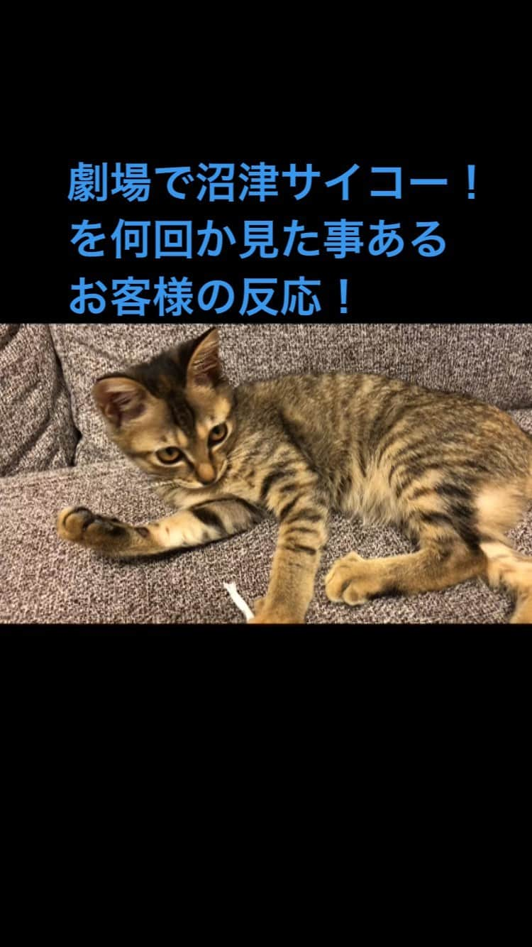 うえたけのインスタグラム