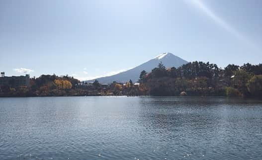 吉田有里さんのインスタグラム写真 - (吉田有里Instagram)「麻里奈さんと山梨旅2020🗻🍂﻿ 先日、麻里奈さんの運転🚗で﻿ 山梨県の河口湖に連れて行っていただきました！﻿ ﻿ あったかいコーヒーをおともに﻿ いっぱい色んなおしゃべりをしたり﻿ 2人で歌ったり(麻里奈さんのお歌を隣で聞ける贅沢) ドライブして﻿ 河口湖をたくさんお散歩しました﻿ ﻿ 朝から超快晴☀️！﻿ 富士山がとっても綺麗でした…圧巻…🗻﻿ そして紅葉が本っっ当に綺麗でした…🍁﻿ ﻿ かわぐちこ、という地名だと思っていたので﻿ 湖と知って驚きました(あほすぎる)﻿ ﻿ そして昨年の旅同様に、﻿ 麻里奈さんの良いカメラでひたすら被写体になりました﻿ どう考えても先輩、﻿ 撮る側じゃなくて撮られる側っす…﻿ しかしまじでお写真上手すぎます…﻿ ﻿ (すっげぇ素敵な写真を﻿ いっぱい撮ってもらったので、﻿ いっぱい更新しようと思っています﻿ よければお付き合いください…🥺🙏💕)﻿ ﻿ ﻿ 富士山と麻里奈さんのパワーを﻿ いっぱいもらった、﻿ 最高に幸せな一日でした…﻿ ﻿ 麻里奈さんとなら出不精な吉田でも、どこへでも行きたいですお供させてください…﻿ と言いつつ、帰りの車中助手席で居眠りをしてしまう吉田。﻿ 完全にお荷物。﻿ ﻿ せんぱい～～～またどこか連れて行ってください～～～すきです～～～(絶叫)﻿ ﻿ #井上麻里奈 さん  #富士山 #河口湖 #紅葉 #mtfuji #山梨」11月15日 19時07分 - yu_ri_ysd