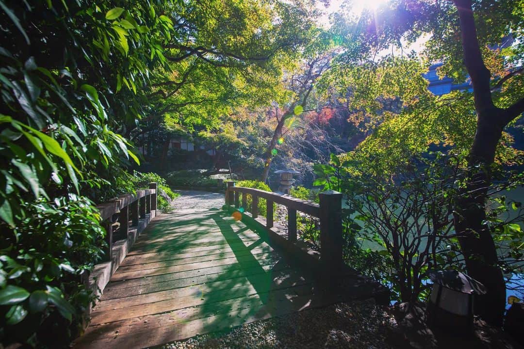 八芳園さんのインスタグラム写真 - (八芳園Instagram)「心地のよい晴天が続くこの頃。 . 庭に降り注ぐ太陽は、 池に反射して 木々の葉を煌めかせます。 . . 本日MuSuBuにて開催した 【 徳商デパートメント～雲より上はいつも晴れ 徳島から繋ごう５つの輪～】 . 「徳商デパートメント」は 徳島商業高等学校の生徒たちによる 10年以上の歴史をもつ大人気のイベント。 . 徳島商業高等学校の生徒たちが、 商業の学びの一環として地域やその他の⺠間企業などと連携し、 新たな商品やサービスを創造、企画開発・販売をします。 . 12月の「徳商デパートメント」のオンライン開催へ先駆け、 港区白金台の「MuSuBu」にて 【 徳商デパートメント～雲より上はいつも晴れ 徳島から繋ごう５つの輪～】 を開催いたしました。 . 会場では、高校生たちがホストタウン活動を行う中で出会った相手国の食材や料理を取り入れ、企業や農商工との連携により誕生したオリジナルパンや小籠包を、八芳園「MuSuBu」のシェフたちが再現して店頭での販売やイートインでお届けしております。 . また、これらの商品のブースでは 徳島商業高校生とオンラインで繋がりながら お買い物をお楽しみいただきました。 . . 地域の魅力をグローバルに発信できる人材育成を目指して、 ホストタウンとの商品開発や文化交流を行う 徳島県立徳島商業高等学校。 . 東京都港区白金台のMuSuBuにて 徳島の高校生たちの熱い思いと取り組みを発信いたしました。 . .  #八芳園 #徳島商業高校  #徳商デパートメント #ホストタウン #共生社会ホストタウン #徳島県　#高校生 . #日本庭園 #自然 #紅葉 #紅葉スポット #秋　#風景写真 #港区 . #東京観光  #東京カメラ部  #自然が好き #庭好き　#写真好き  #写真好きな人と繋がりたい  #カメラ好きな人と繋がりたい  #風景写真を撮るのが好きな人と繋がりたい  #その瞬間に物語を  . #プレ花嫁 #式場探し . #japan #japanesegarden  #tokyotrip  #forbestravelguide #photostagram」11月15日 19時17分 - happoen