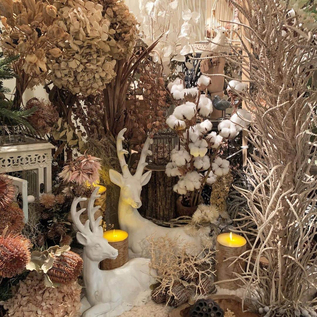 りかこのグルメインスタ