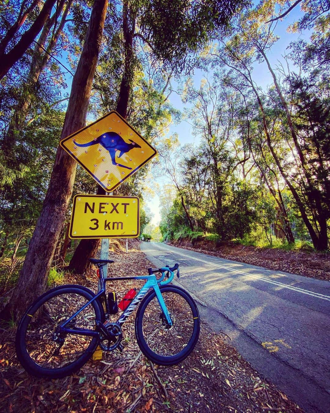 土井雪広のインスタグラム：「夕方山ライドにて。  カンガルー看板  #southaustralia #Australia #adelaide #canyonbikes #mavicwheels #gcn」