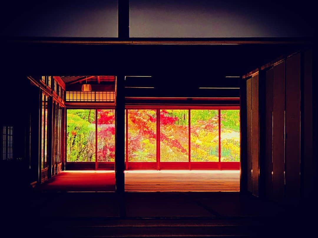 鹿野優以さんのインスタグラム写真 - (鹿野優以Instagram)「一人旅の思い出 紅葉の始まりかな。そこまで色づきはしてませんでした。」11月15日 19時47分 - yum.k