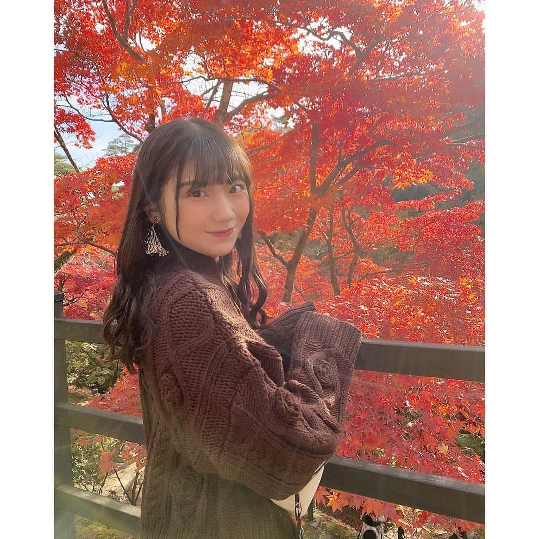 藤崎未夢さんのインスタグラム写真 - (藤崎未夢Instagram)「♡ 紅葉見てきた☺️🍂 . . #新潟 #弥彦 #もみじ谷 #紅葉」11月15日 19時52分 - miyu_miyu_ngt48