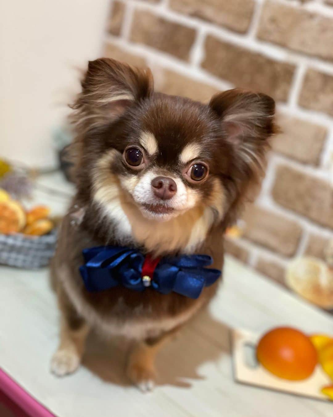 大島麻衣のインスタグラム