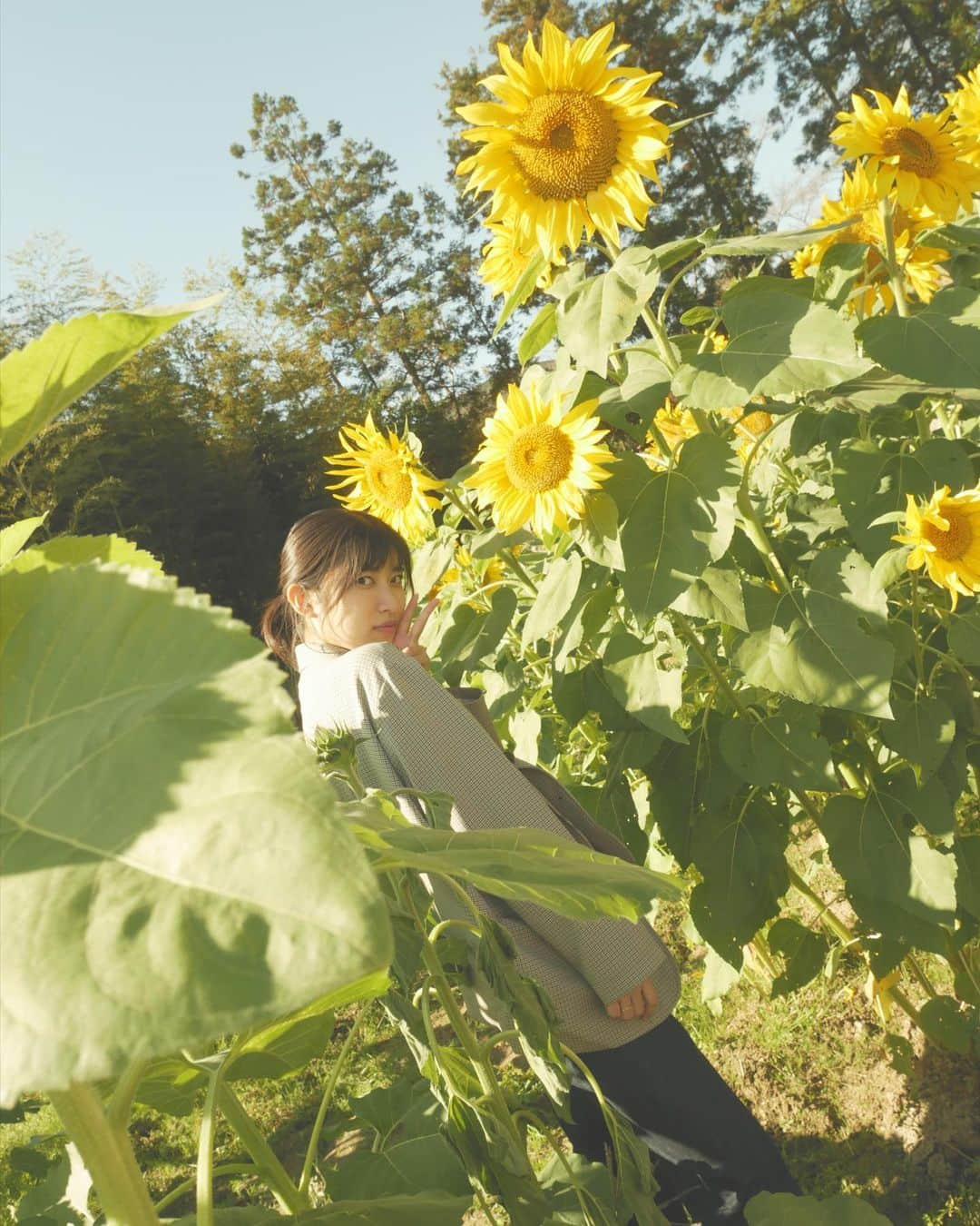 吉田華恋さんのインスタグラム写真 - (吉田華恋Instagram)「🌻」11月15日 11時08分 - karen_yoshida_8