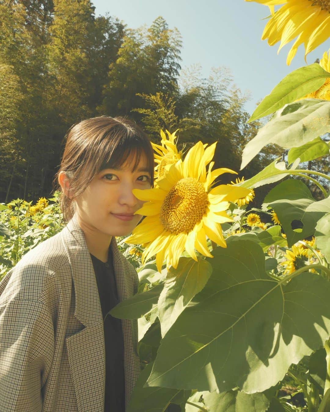 吉田華恋のインスタグラム：「🌻」