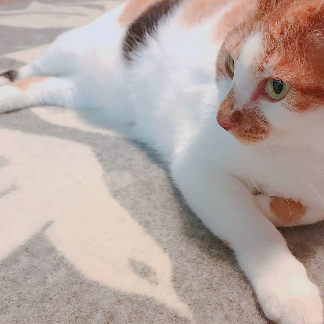 ecomfort（エコンフォート）のインスタグラム
