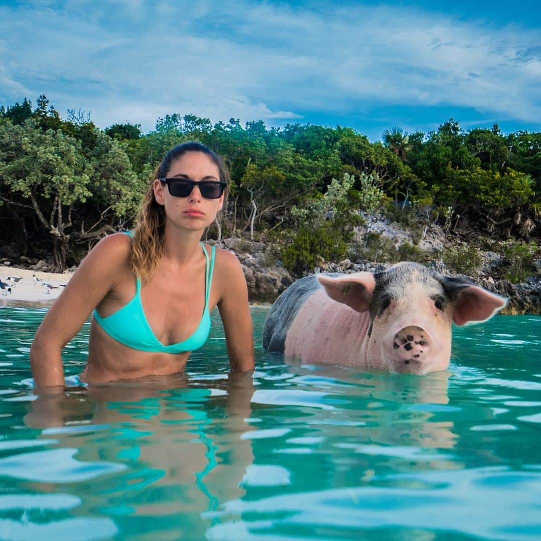 ヴァレンティン・トーマスさんのインスタグラム写真 - (ヴァレンティン・トーマスInstagram)「One day you’re laying on the beach and the other you getting sh** on by a pig. #thuglife 📷 @j.kowitz」11月15日 11時38分 - valentinethomas