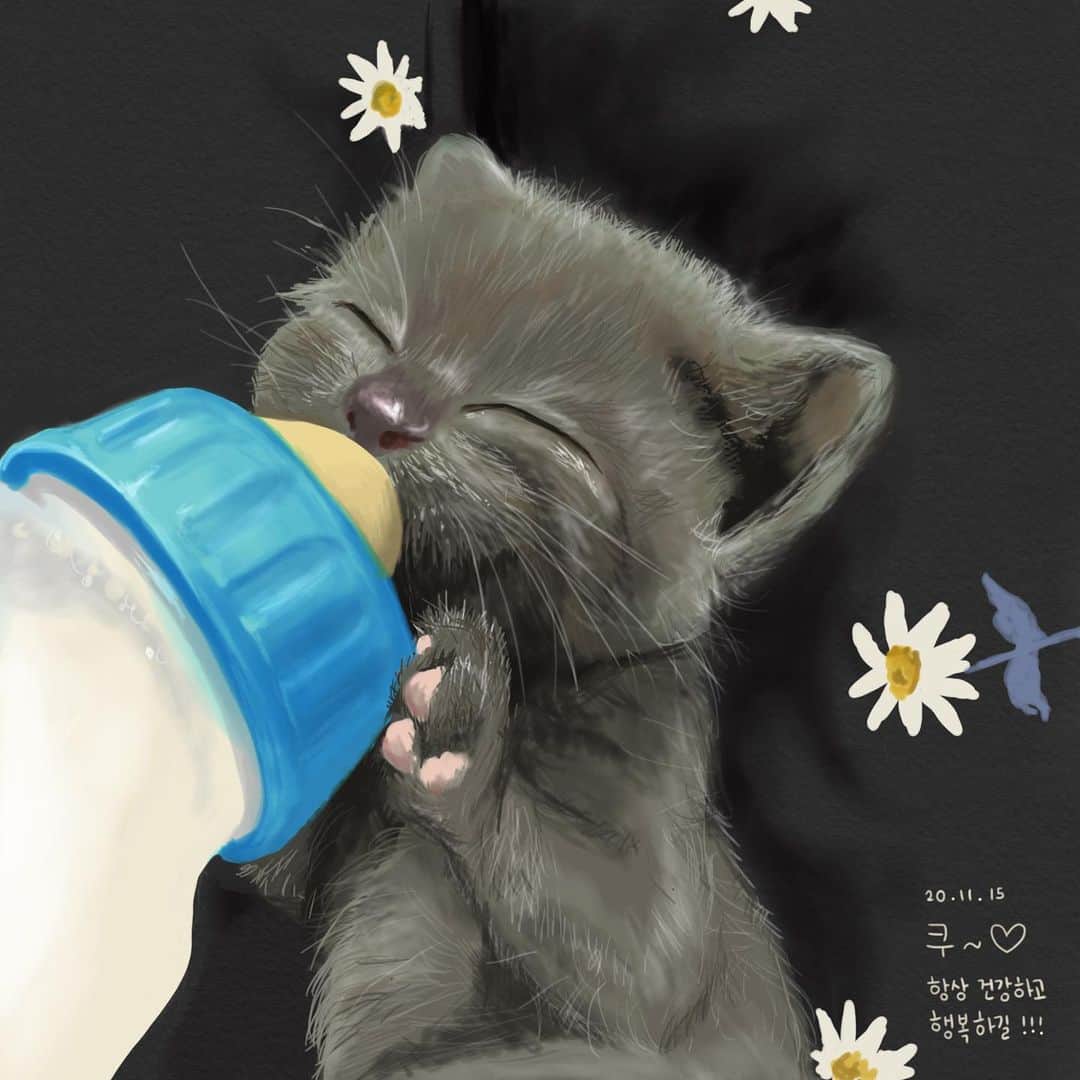 イ・ダヒのインスタグラム：「간밤에 그린 쿠우짱🐈✨ 可愛い子猫ちゃんを描かせていただけて本当に幸せでした 癒された☺️ #강아지고양이그려드립니다🎨」