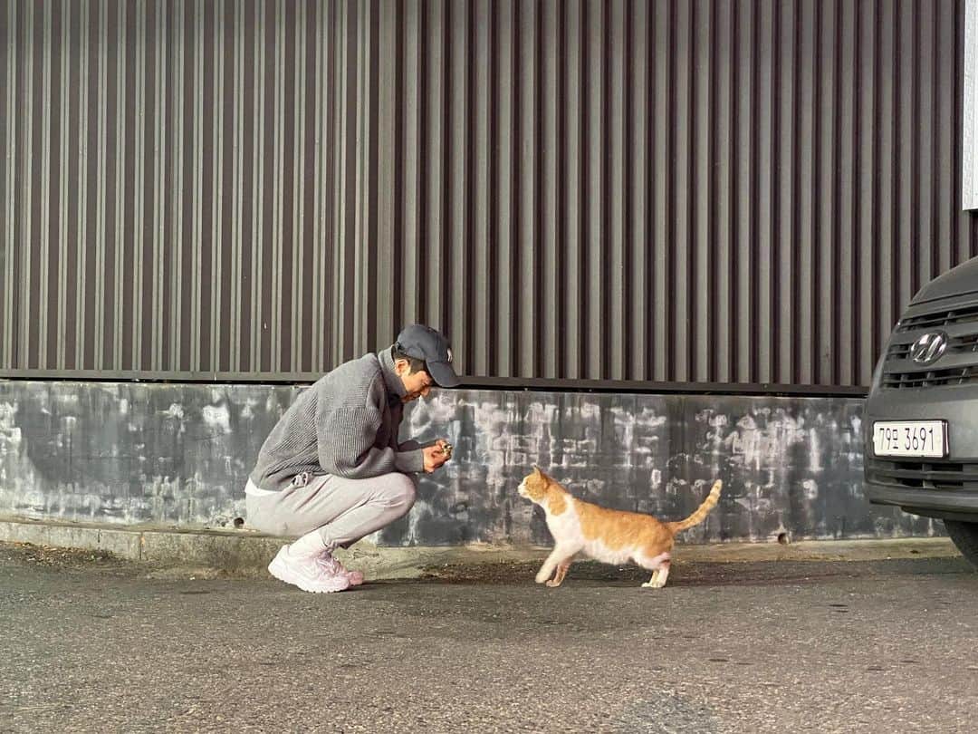 ユン・ヒョンミンのインスタグラム：「숙소 앞 편의점에서 만난 야옹이 🐱」