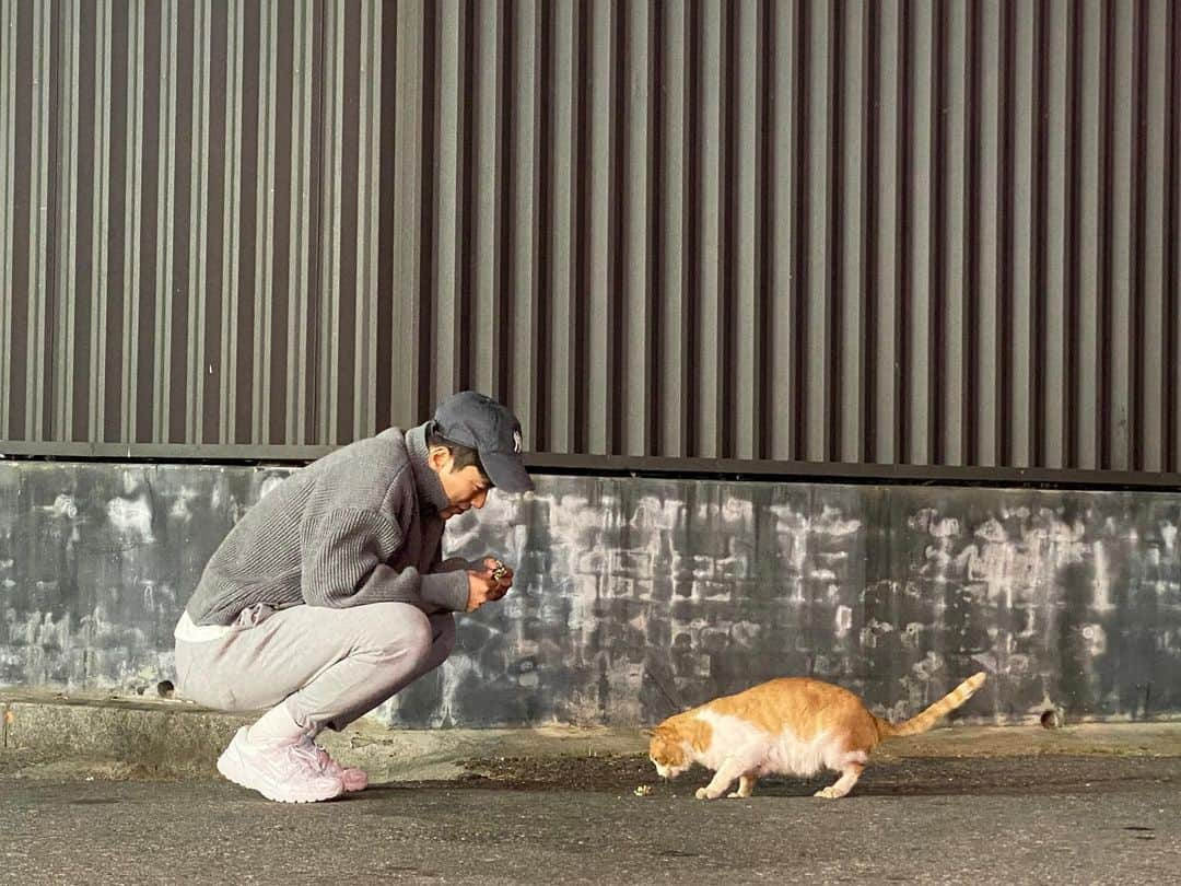 ユン・ヒョンミンさんのインスタグラム写真 - (ユン・ヒョンミンInstagram)「숙소 앞 편의점에서 만난 야옹이 🐱」11月15日 11時58分 - yoonhyunmin