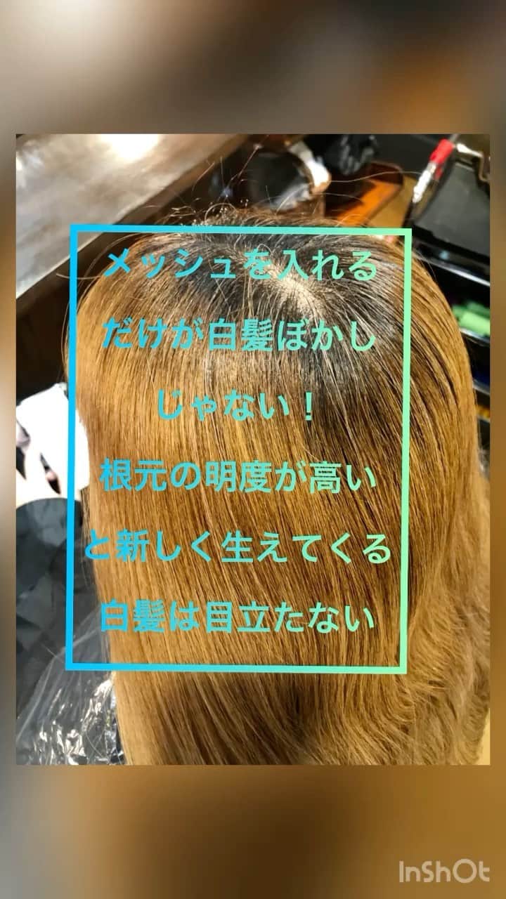 斉藤潤一のインスタグラム：「新しく生えてくるい最高明度の白髪をいかにぼかすかが #白髪ぼかし です。 ROCOSPEARZではメッシュでぼかすだけでなくお客様にあった技術で白髪ぼかし #白髪染め　で必ず手入れしやすいようにします。 女の人は30代から更に綺麗になると思う 俺はその手伝いを極限まで引き出せる様に技術とセンスを磨いていきます。  オッジィオットを最大限使いこなして 髪の修復と色の均等性を考えてやりました。  #髪質改善   スタイリスト　#斉藤潤一  〒150-0041 東京都渋谷区神南 ご予約はこちらへ ☞☞ TEL ☏﻿ ﻿03-3462-2093 web  roco@1cs.jp 渋谷 美容室 #rocospearz . 〒150-0041 東京都渋谷区神南1-14-9 第7FMGビルB1F . . ご予約はこちらへ ☞☞ TEL ☏﻿ ﻿03-3462-2093 web  roco@1cs.jp . ★平日  open  11:30-22:30 ★土日祝  open  11:00-21:30  #渋谷#東京#oggiotto#新宿#新宿美容室#白髪#外国人風#バレイヤージュ #hair#渋谷美容室 #インナーカラー#オシャレ #綺麗#外国人風カラー #ヘアアレンジ #ケアブリーチ  #30代 #newcolor # #tokyo #shibuya #hair #オッジィオット #モデル#バレイヤージュ #アラフォー#30代ファッション#アラサー」