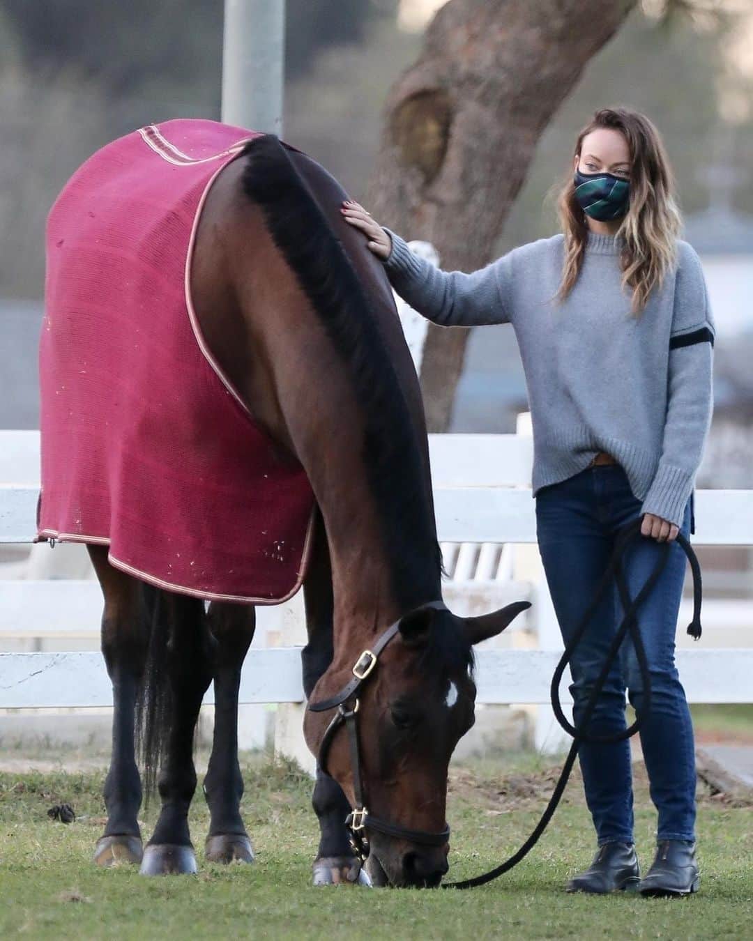 Just Jaredさんのインスタグラム写真 - (Just JaredInstagram)「Newly single @oliviawilde spends the day at the horse stables after it was announced that she & fiancé Jason Sudekis had split up.  #OliviaWilde Photos: Backgrid」11月15日 12時16分 - justjared