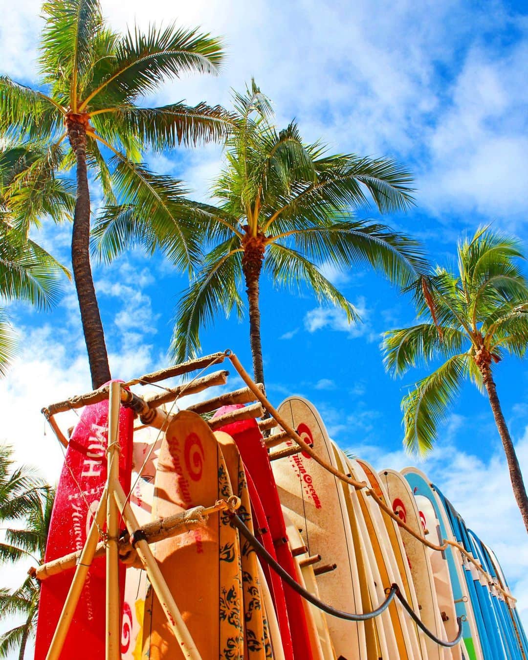 shihoのインスタグラム：「💗🏄🏾💗🏄🏾‍♀️💗 ・ サーフボードがズラっと並んでる Hawaiiならではの光景。 そこにヤシの木もあればかわいさ倍増🥺💗 Hawaiiはなにもかもが可愛くて 写真すぽっとがたくさん♡ ・ #hawaii#islandofoahu#oahu#ハワイ#trip #オアフ島#travel#loco_hawaii#travel_jp #funtorip#タビジョ#旅MUSE#genic_travel #genic_mag#たびねす#旅行#genic_hawaii #waikiki#ワイキキ#honolulu#waikikibeach #beach#surfboard#surf#sea#oahuhawaii #tabijyomap_hawaii#lealeahawaii#2020」