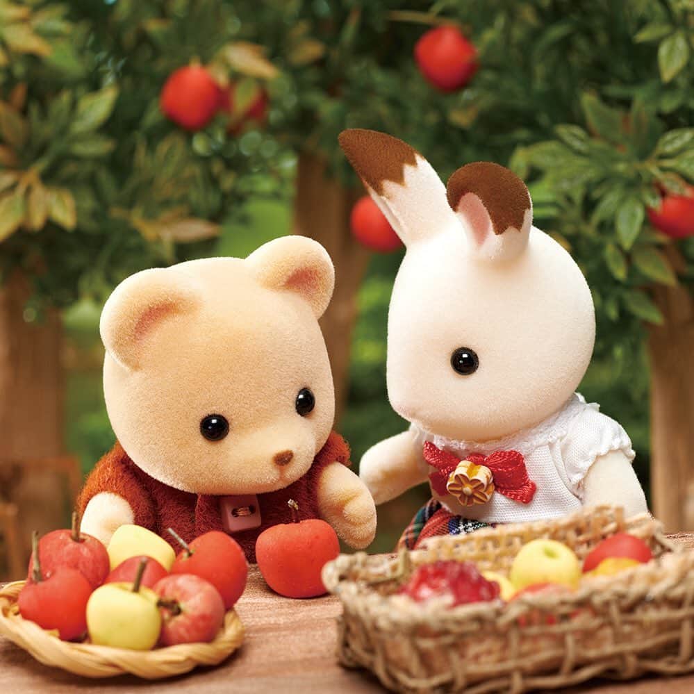 シルバニアファミリー【公式】 さんのインスタグラム写真 - (シルバニアファミリー【公式】 Instagram)「･ リンゴ狩りにやってきたフレアちゃんとピアーズくん。 どのリンゴもとっても美味しそうです！  「どれどれ、ちょっと味見してみようかな・・・」 「ピアーズくん！まだ食べちゃダメよ。みんなにお土産で持って帰るって約束したでしょ？」  「うーん、１個くらい・・・」 「だめだめ！せっかくきれいなリンゴを選んだんだから！」  ピアーズくん、まだ諦めきれないみたい。  おうちで沢山たべられるといいですね。  #シルバニアファミリー #シルバニア #sylvanianfamilies #calicocritters #sylvanian #ドールハウス #dollhouse #ミニチュア #miniature #秋 #食欲の秋 #収穫 #りんご #apple  #つまみ食い #食いしん坊」11月15日 12時26分 - sylvanianfamilies_jp