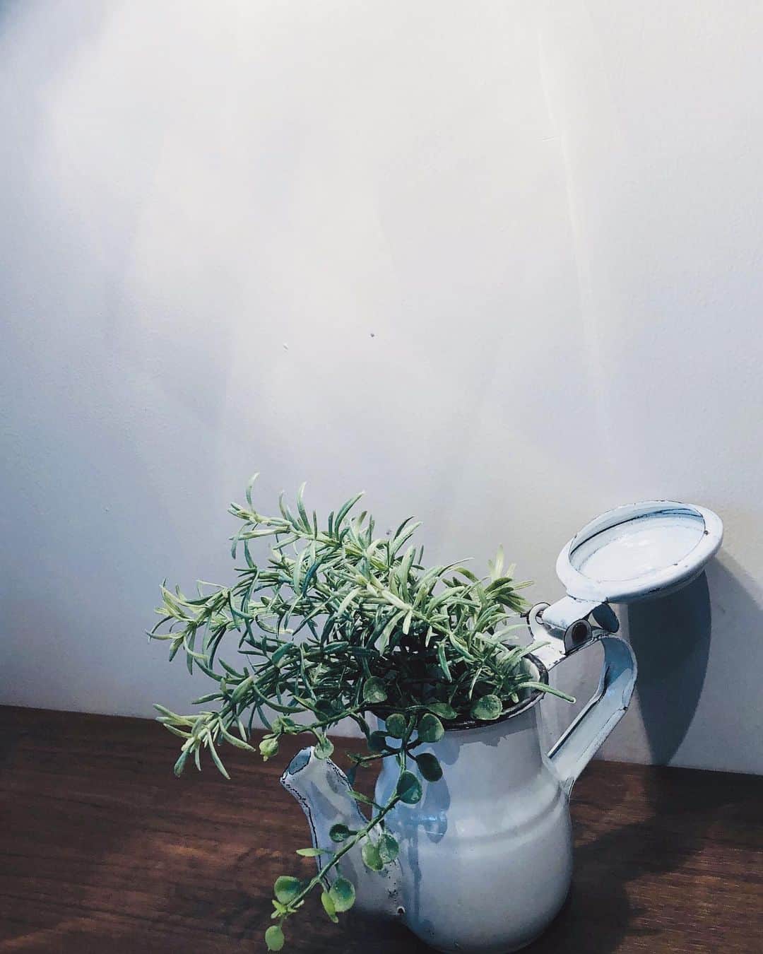 のインスタグラム：「🌿🌿🌿  #緑のある暮らし #green #nature」