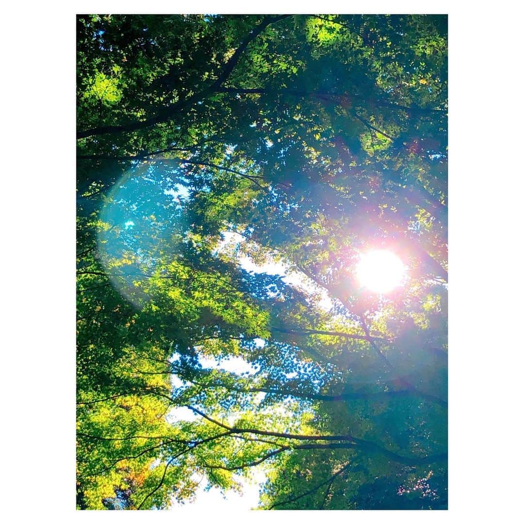 のインスタグラム：「最近の関節リウマチは  朝の手のこわばりが少しと、ちょっとだけ疲れやすいぐらいなので強く症状が出ていた時よりはぜんぜんラクなのですが、RF定量がほんの少しだけ上がっている😮  ラクなのに数値がちょっとだけど上がったことが不安になり薬の量を少しだけ増やしました  CRP定量は基準値内です  元気です  #森林浴 #日光浴 #関節リウマチ」
