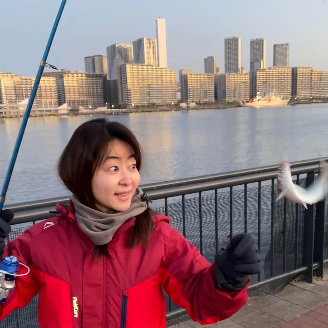 多胡安那のインスタグラム：「日の出前から豊洲で魚釣りしてきました。 釣果はコノシロ2匹。 #気象予報士 #釣りガール #豊洲で釣り #コノシロはコハダの出世版  #暗い時間帯よりも日の出時刻が一番寒かった #ワークマン女子のコートが暖かい #釣りはワークマンとユニクロで出かける」