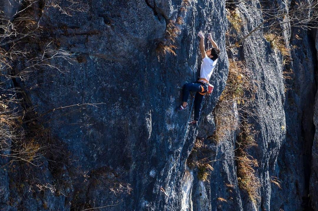 楢崎智亜さんのインスタグラム写真 - (楢崎智亜Instagram)「Great season is coming 🧗🏻🍂  photo by @shintaozawa  ——————————————— @au_official #セブンイレブン @thenorthfacejp #アイディホーム @air_sleeptechnology @unparallelup @frictionlabs」11月15日 14時16分 - tomoa_narasaki