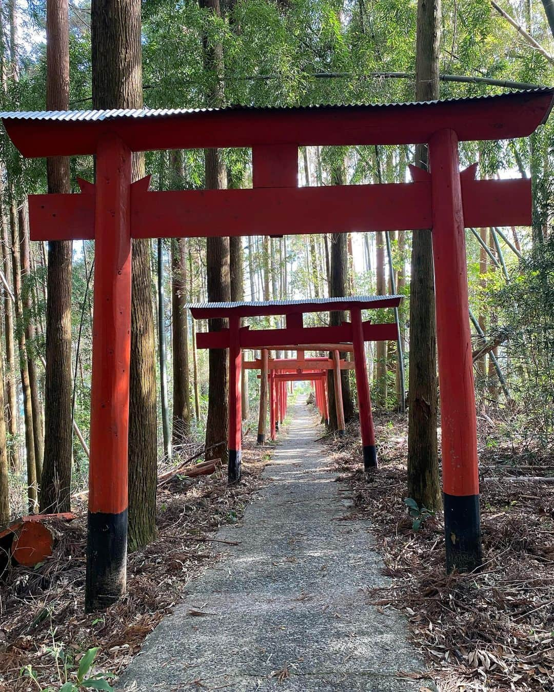 酒井瞳さんのインスタグラム写真 - (酒井瞳Instagram)「地元延岡の夏田山にある #夏田山扇森稲荷神社 は去年の竜巻被害で災害に遭い、１年以上経ちますが人手不足で中々復興作業が進んでません😭　今回は地元のボランティア活動をされてる方々と一緒にアースデー活動に参加させていただきました💪✨‼️  夏田山扇森稲荷神社は竜巻被害を受けてその周りの住宅地を守ってくれたそうです‼️ 災害から守ってくれる神様が居るとてもありがたい神社です🙏✨ 守ってくれてありがとうございます🙏という気持ちでみんなと復興活動😊  ４６０段もある階段を登った先にある延岡を一望する景色はとても綺麗でした✨‼️ みなさんにもこの感動を味わってもらえるようこれからも復興活動に参加したいと思います💪‼️  ボランティア活動で素敵な出会いもありました❤️ 小さな身体から大きなパワーを感じました☀️☺️ 母校延商の近くということで久しぶりに覗けたし、今日もとても良い一日だった🙆‍♀️💕  #宮崎 #延岡 #夏田山 #神社 #延商 #アースデー #earthday #ありがとうございます #素敵な場所 #地元 #大好き」11月15日 20時14分 - s.sakaihitomi