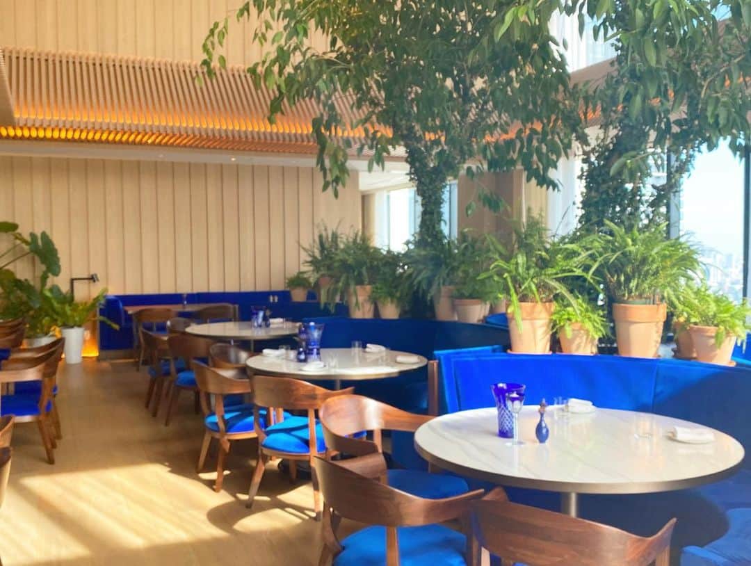 マキ・コニクソンさんのインスタグラム写真 - (マキ・コニクソンInstagram)「Lobby Floorにある Blue Roomで美味しい朝食を食べました！😋  グラノーラとアボカドトーストにフレンチトーストをオーダーしたよ！小さなポーションだから全部完食！Yummy! 😋  店内は私が大好きなブルーカラー！💙💙  窓側の席でタワー🗼ちゃま を見ながらの朝食は サイコーのコウちゃん👍🏼 お勧めでーす！😊  #東京のホテル巡り #コニクソンのホテルレポ✍🏻  #tokyoeditiontoranomon  #東京エディション虎ノ門  #美味しい朝食」11月15日 20時08分 - makikonikson