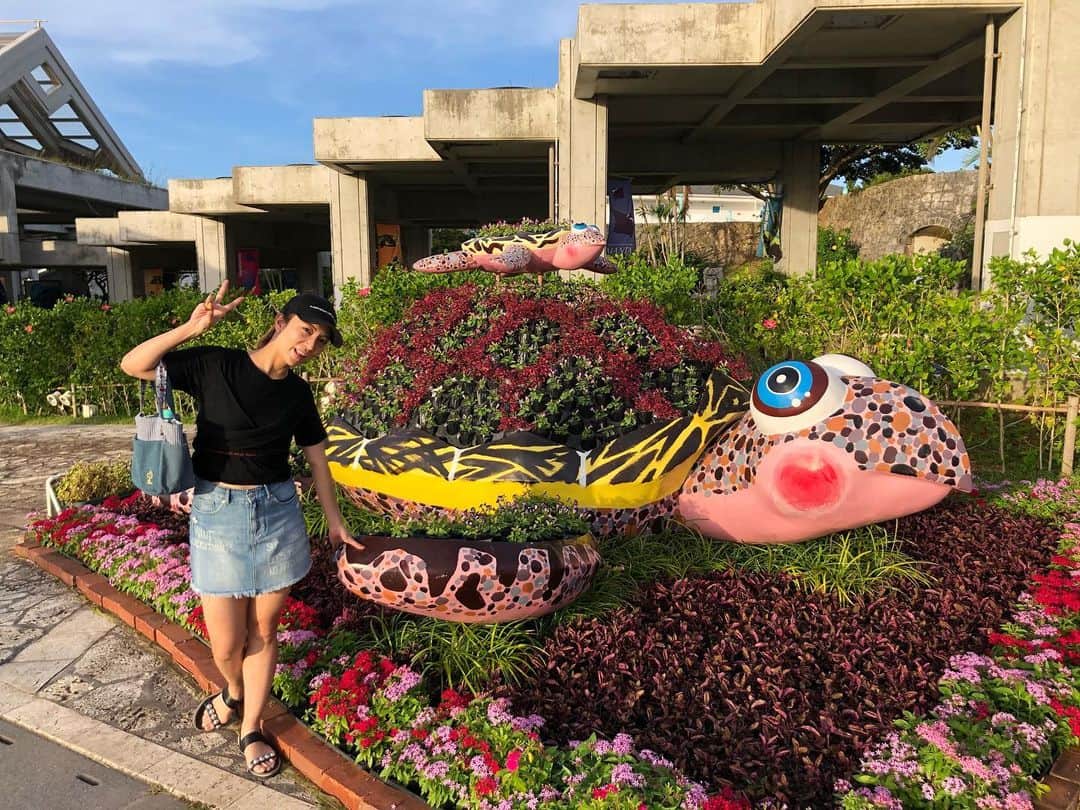 安藤あいかのインスタグラム：「はじめての美ら海水族館🐟 この魚が好みすぎた😍  #沖縄  #沖縄美ら海水族館」