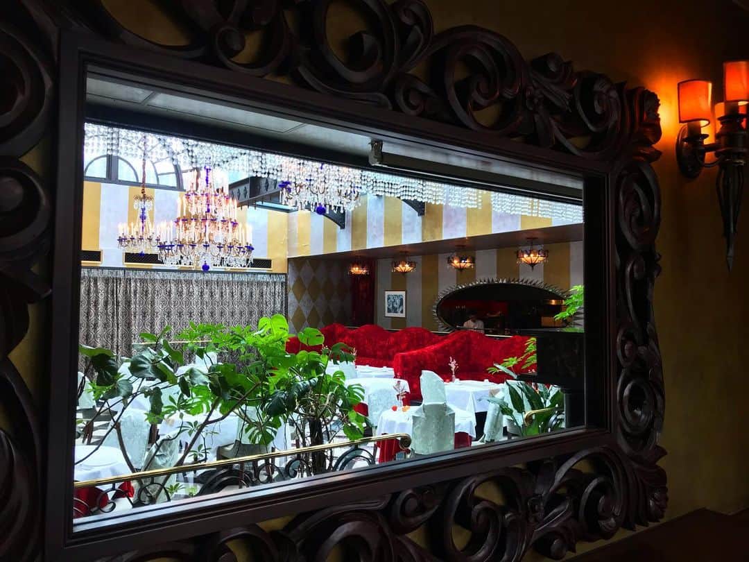 ステラートのグルメインスタ