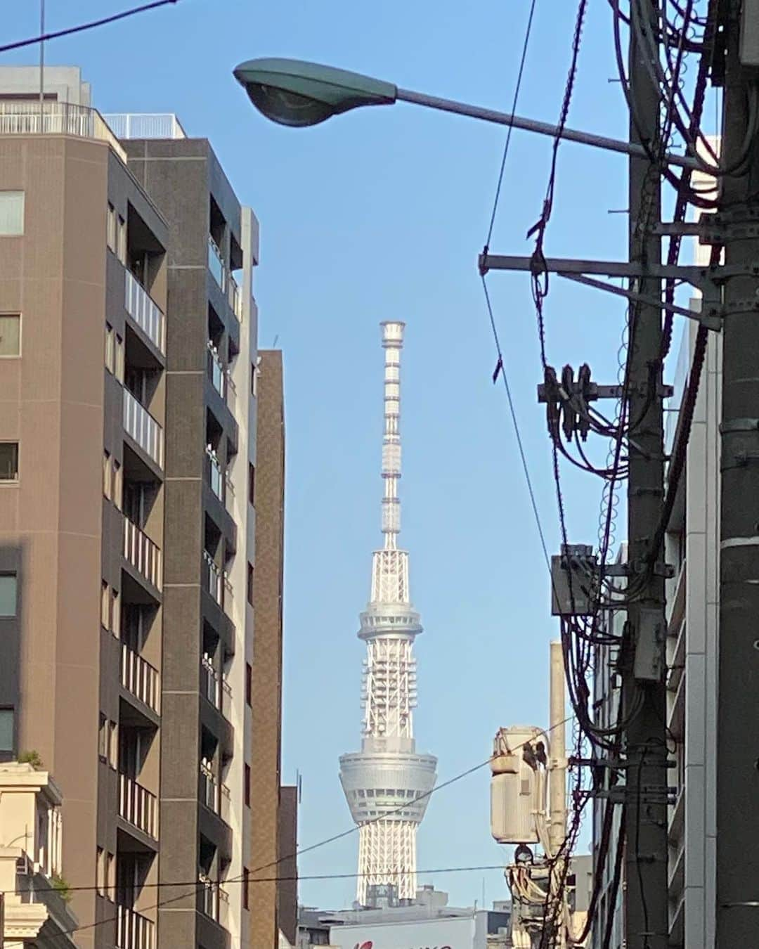 川田御早希さんのインスタグラム写真 - (川田御早希Instagram)「遠くにスカイツリーが見えました♡ 今日は新月ですね☆  #今日は新月  #お天気に感謝 #遠くにスカイツリー  #引き寄せ #上機嫌 #いい気分 #今幸せでいよう #今を楽しむ」11月15日 14時49分 - misaki_kawada