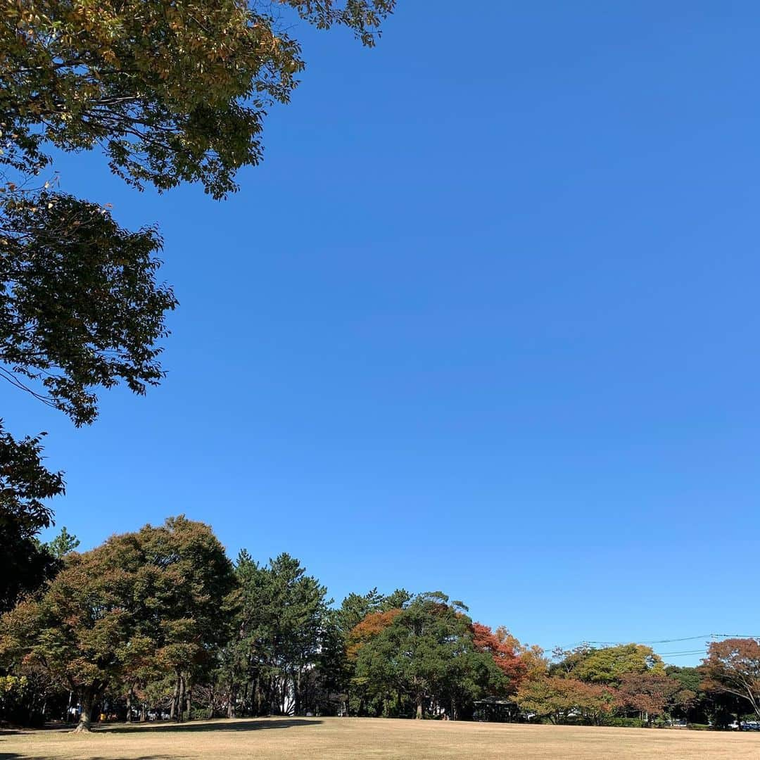 鈴木美香さんのインスタグラム写真 - (鈴木美香Instagram)「. 青空。 . 相変わらず怒涛の毎日ですが . 音楽がまた 私の背中を押しそうです . とにかく 人との繋がりに恵まれて . 気持ちよく 心地よく プロの心意気に触れながら . お仕事のご縁に感謝 . さっ、また明日から バタバタと始まります . その前に深呼吸 邪悪な氣を祓い、一歩づつ着実に . #青空  #音楽が #背中を押す」11月15日 14時54分 - mikasuzukimika