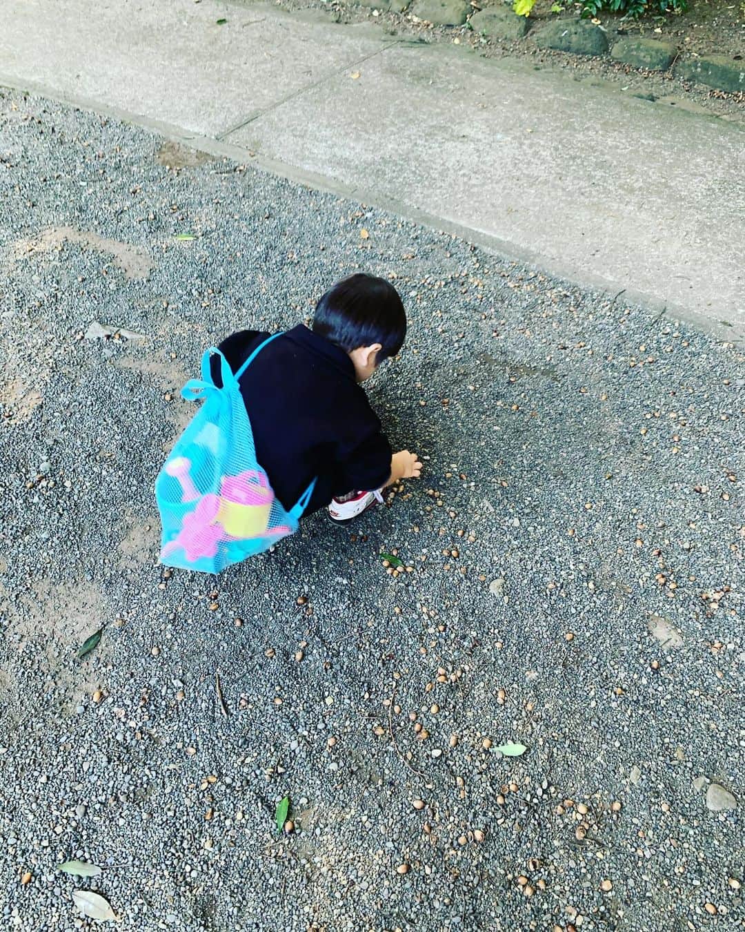 安田美沙子さんのインスタグラム写真 - (安田美沙子Instagram)「はんなをドックドックへ🐶 その間、こども2人を連れて公園へ。。。 気持ちのいい秋晴れ✨山盛りのどんぐりに大興奮な兄。 拾っても、拾ってもなくならない。幸せだね！ それにしても、なんで砂場を掘ったらどんぐりが見つかるって、息子は知ってたんだろう？ . . . 1人で2人とはんなを連れてくのにドキドキしたけど、色々無事に終えました🤍 はんなは特別大きな病気は無かったけど、年齢とともに、色々出てきます。こまめに病院行こうね🐶 . . . 秋の自然に癒されました🌈 . . . #park #boys #brothers #mama #またリップだけ　#どんぐりありすぎ　#マイナスイオン　#はんな #大好きだよ　#nike #香水を歌う3歳児」11月15日 15時13分 - yasuda_misako