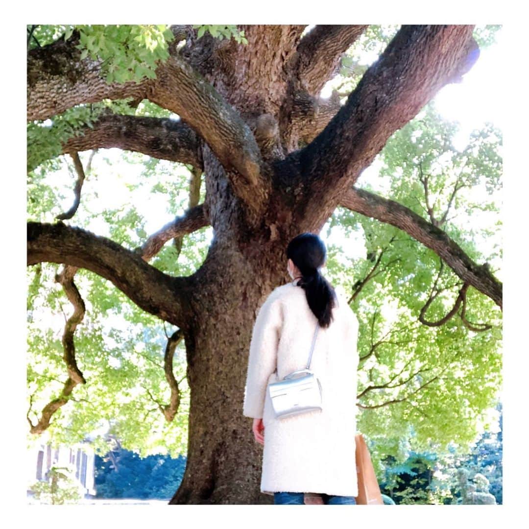 理絵さんのインスタグラム写真 - (理絵Instagram)「大きな木を、じーっと見つめた午後  #森林浴」11月15日 15時20分 - ____rie____