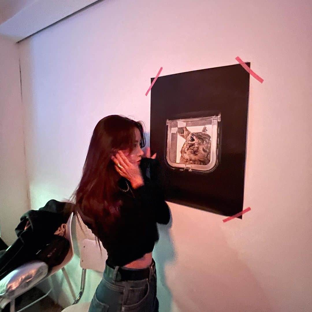 トキのインスタグラム：「오 이거 나쟈나 하면서 또 ㅋㅋㅋㅋㅋㅋㅋㅋ 그렇기때문에 더 잘될 @jointhedance.bar ♥️🤍♥️🤍」